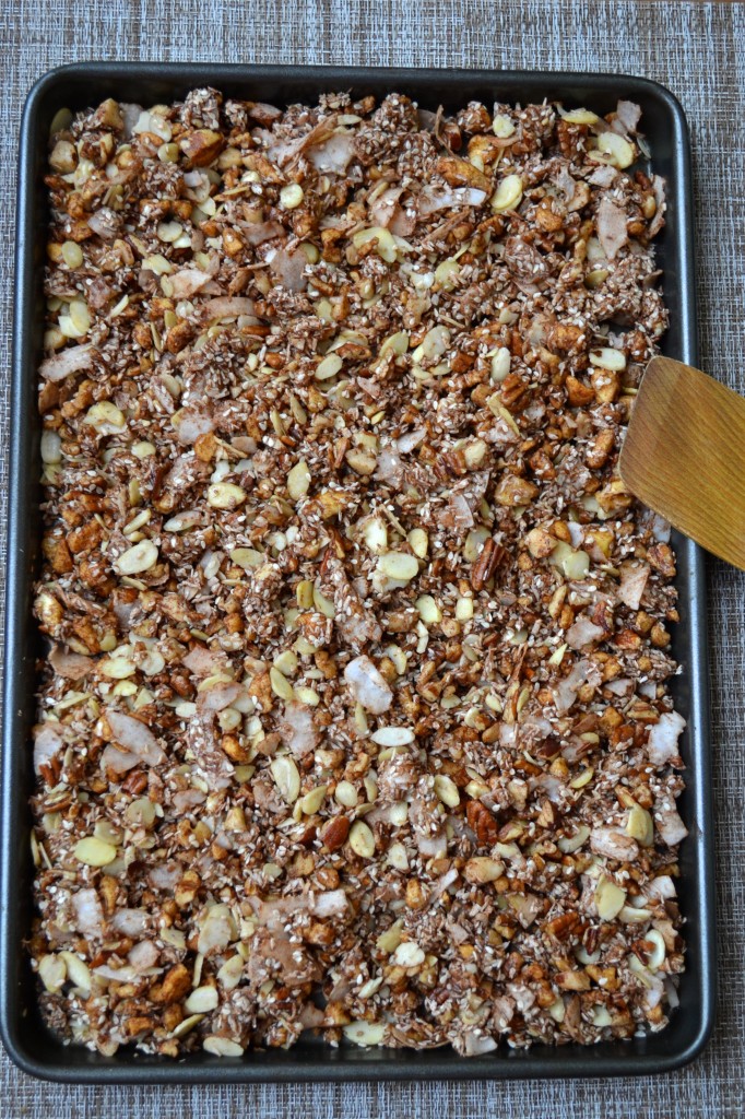 Apple Cinnamon Granola | Every Last Bite