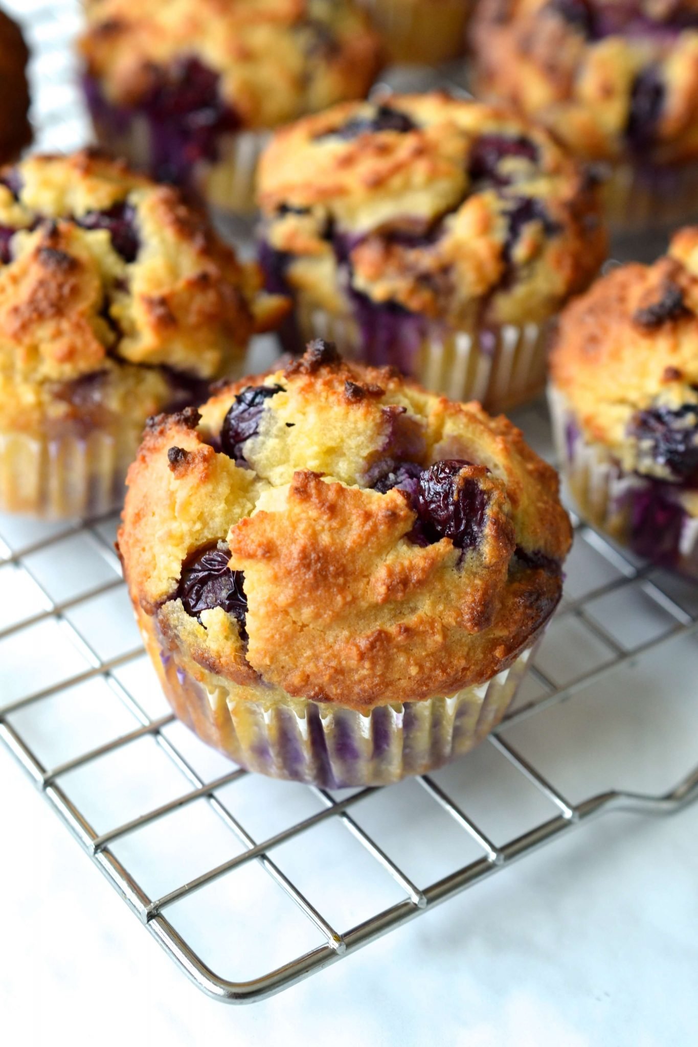 Lemon Blueberry Muffins (Paleo - Grain Free) | Every Last Bite