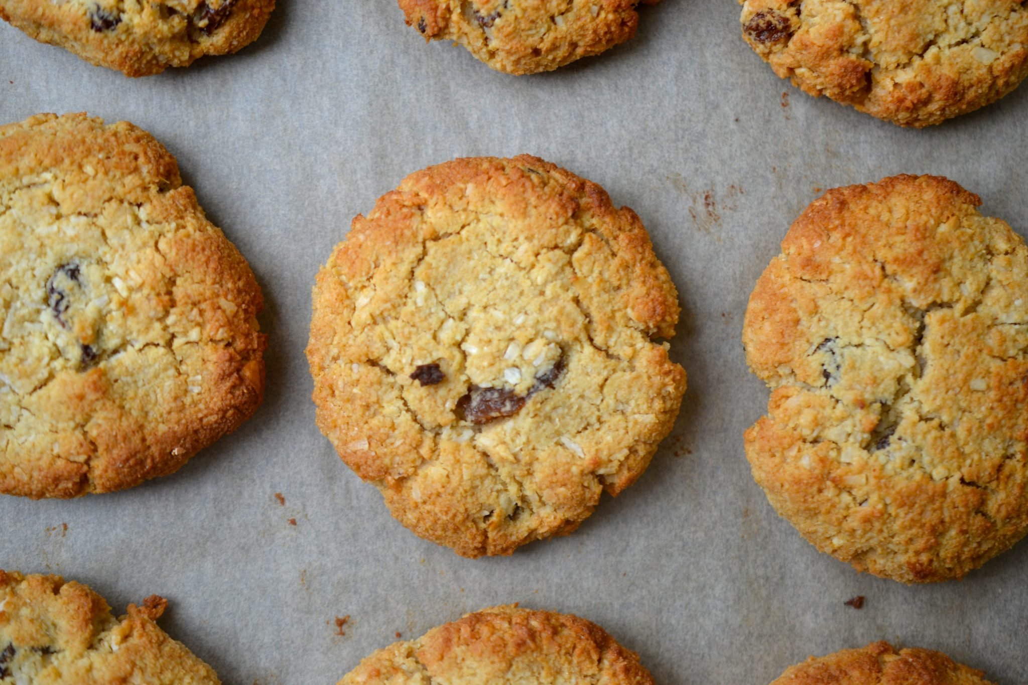 Coconut &amp; Raisin Cookies-image
