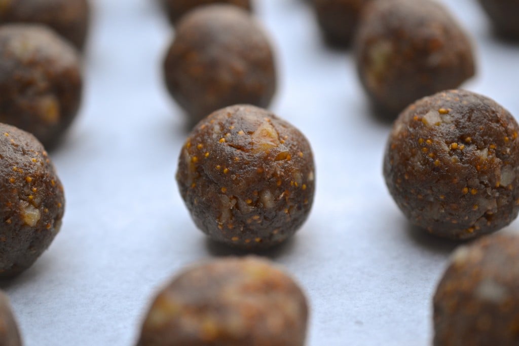 Fig Newton Energy Balls | Every Last Bite