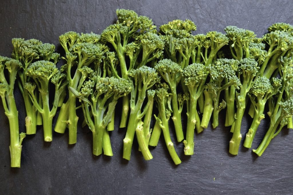 Broccoli Fritters