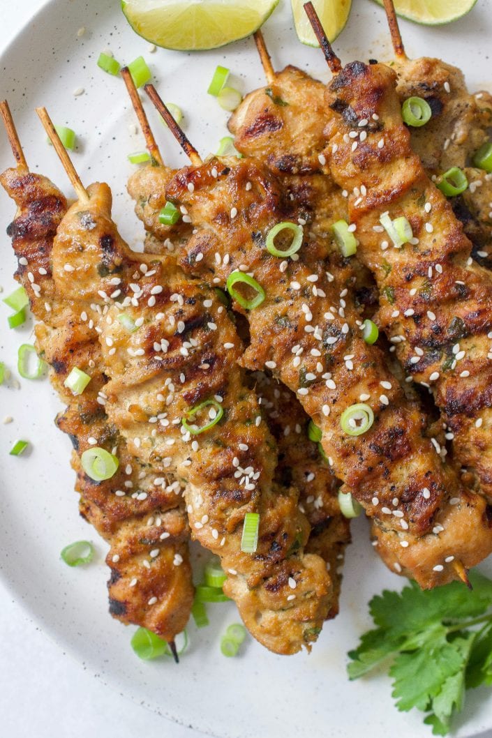 Asian Chicken Skewers | Every Last Bite Asian Chicken Skewers