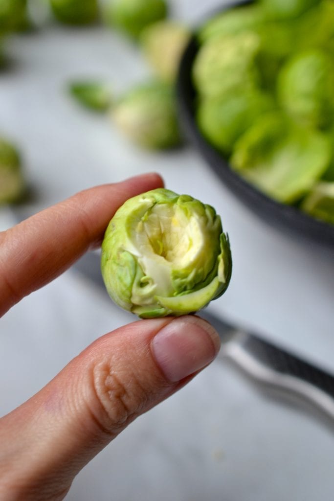 Brussel Sprout Chips | Every Last Bite Brussels Sprout Chips