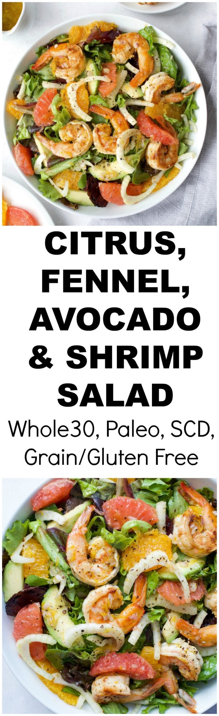Citrus, Fennel, Avocado & Shrimp Salad