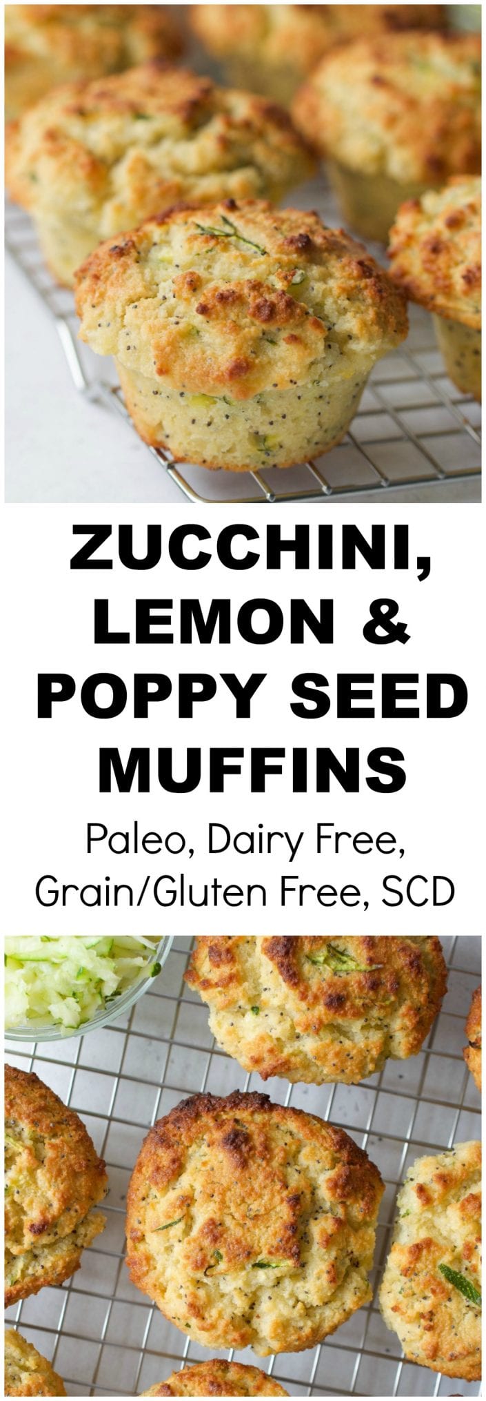 Zucchini Lemon Poppy Seed Muffins Paleo Scd Every Last Bite