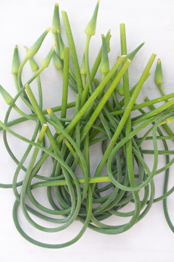 Garlic Scape Recipes
